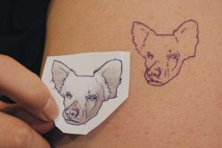 动物-新肤洗纹身