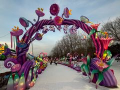 -沈阳奥体冰雪嘉年华