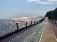 -贡湖湾湿地公园