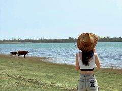 -亿利库布其七星湖沙漠生态旅游区