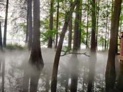 -东湖落雁景区