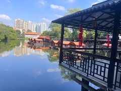 -侨美·唐荔园·40年地道粤菜