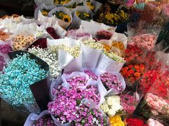 -循礼门鲜花花市(武汉循礼门店)