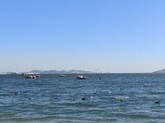 -棒棰岛宾馆景区