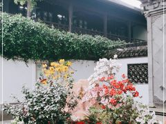 -上海醉白池公园