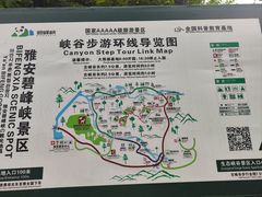 -碧峰峡风景区