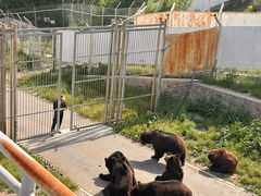 -大青山野生动物园