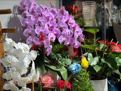 -何兮花店·气球派对鲜花店(马桥银春路万科城店)