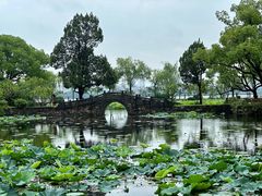 -无锡蠡湖国家湿地公园-蠡园