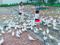 -飞来湖湿地公园
