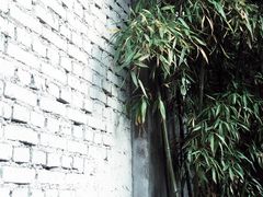 -zarah(鼓楼店)