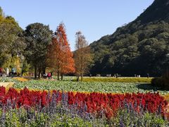 -广州市石门国家森林公园