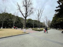 -苏州河梦清园环保主题公园