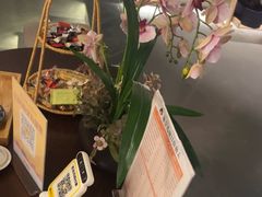 -施奈儿.洗头頭療.按摩SPA.采耳(上梅林店)
