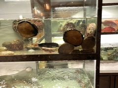 -甄御•海鲜新青岛菜(麦岛店)