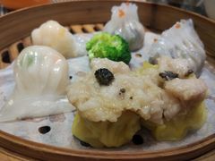 -新兴·金羊座·粤菜点心(乐峰店)