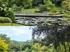 -云溪植物园