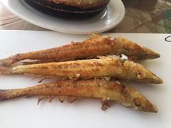 -御唐府海珊瑚主题餐厅