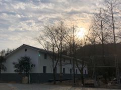 -四明山国家森林公园