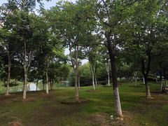 -艾溪湖湿地公园