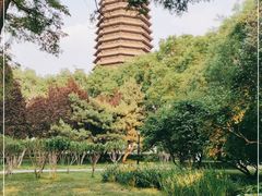 -玲珑塔公园
