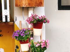 -茶是一枝花泡茶店