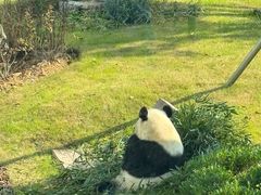-无锡动物园·太湖欢乐园
