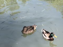-朝阳公园