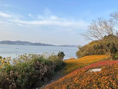 -东钱湖小普陀景区