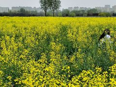 -汉长安城未央宫国家考古遗址公园