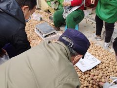 -金宝生活市场(东五环店)