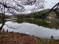 -庐山风景区花径公园