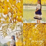秋日金色童话☀️邂逅午后阳光宝藏银杏园