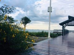 -阳澄湖半岛旅游度假区