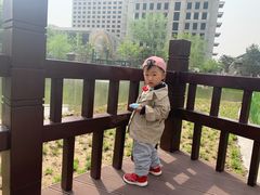 -西海子公园