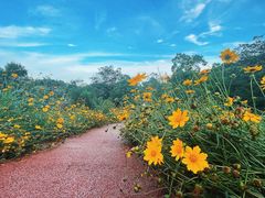 -南京市江宁方山