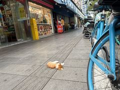 -甘记肥肠粉(马鞍北路店)