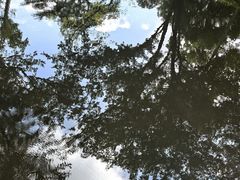-秋霞圃