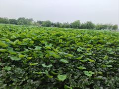 -云龙湖旅游景区