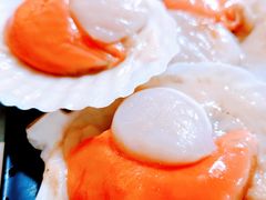-丽江庭院之丽江往事(安定门店)