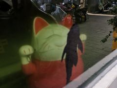 -喵屿·大理花园猫咖