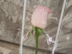 -中海环宇荟