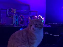 -极木²邸 人与宠物·互动社区