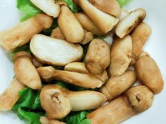 野生松茸-一品滇香·云南菜(公益西桥店)