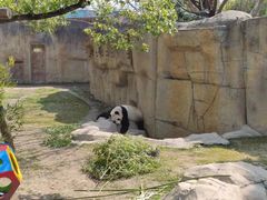 -上海野生动物园