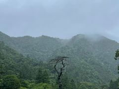 -姑婆山旅游区