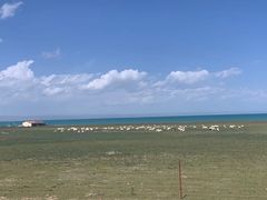 -青海湖国家重点风景名胜区