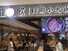 -龍歌自助小火锅(李沧丽达店)