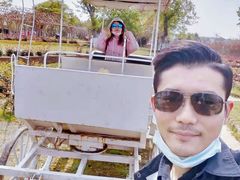 -武汉紫薇都市田园