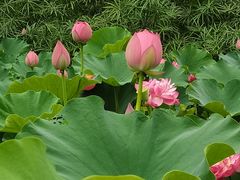 -沐仙湖湿地公园